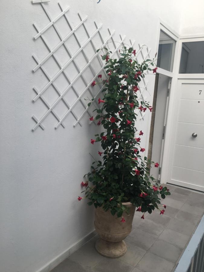 Appartement Loft Xerez Centro à Jerez de la Frontera Extérieur photo